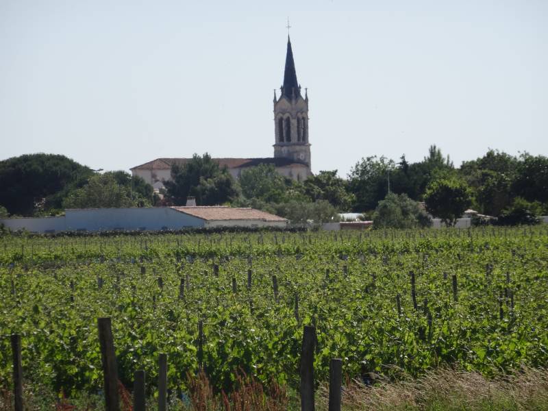 Photo 20 : AUTRE d'une maison située à Sainte-Marie-de-Ré, île de Ré.