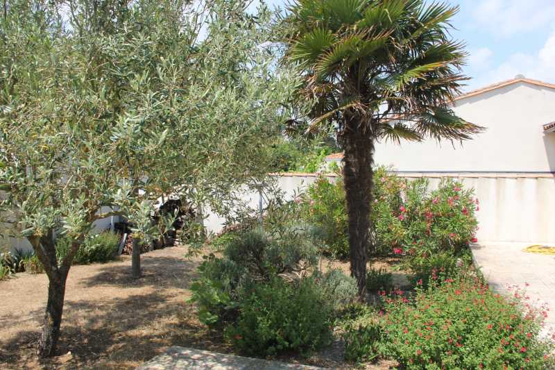 Photo 4 : JARDIN d'une maison située à Sainte-Marie-de-Ré, île de Ré.