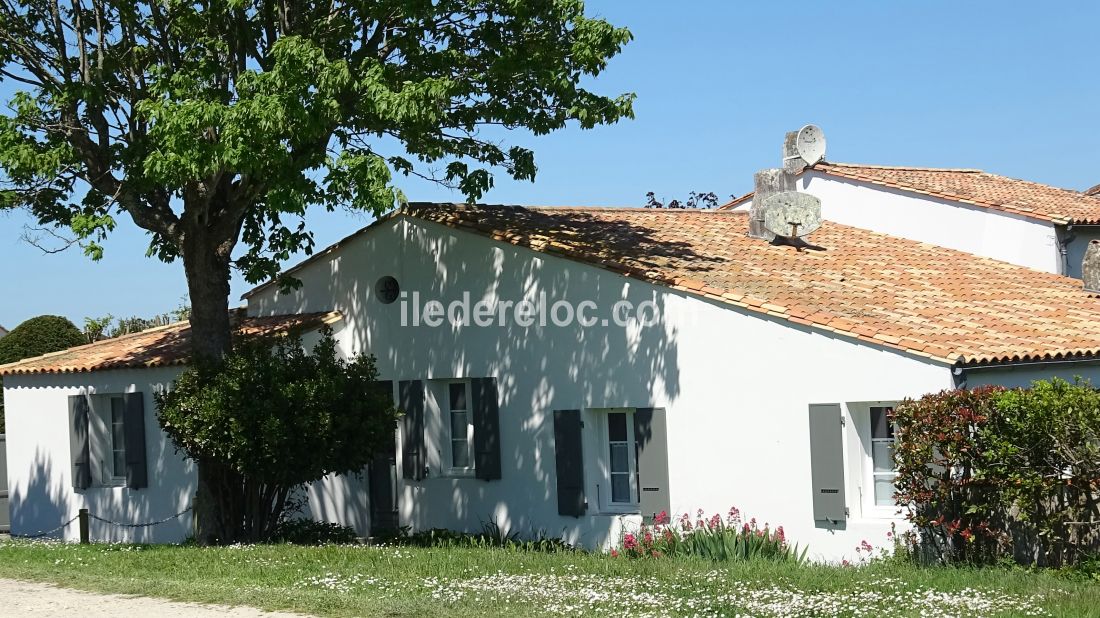Photo 11 : NC d'une maison située à Saint-Martin-de-Ré, île de Ré.