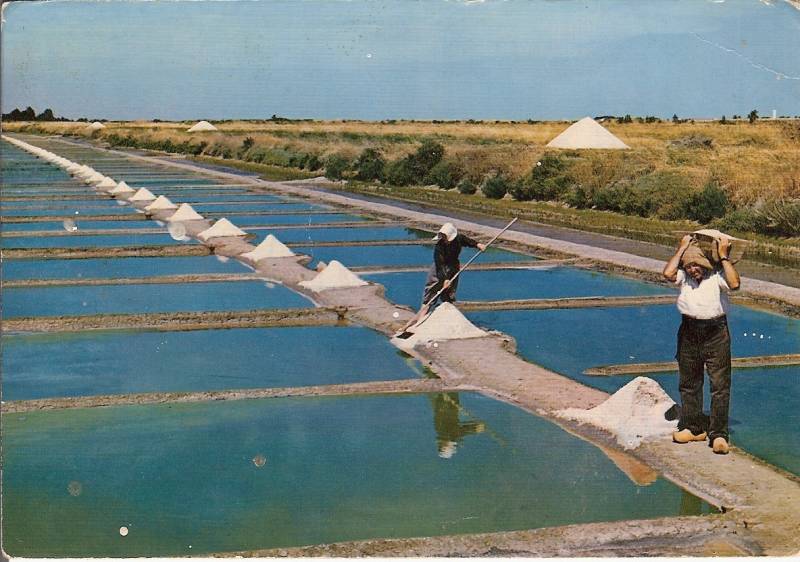 Photo 18 : NC d'une maison située à Ars, île de Ré.