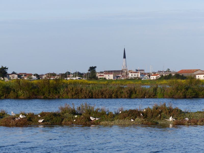 Photo 16 : NC d'une maison située à Ars en Ré, île de Ré.