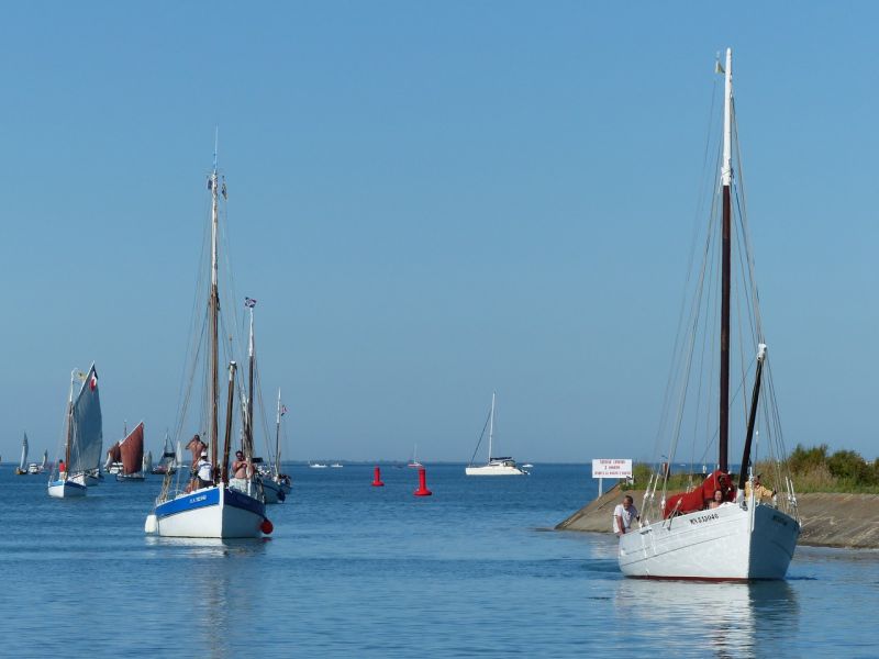 Photo 15 : NC d'une maison située à Ars en Ré, île de Ré.