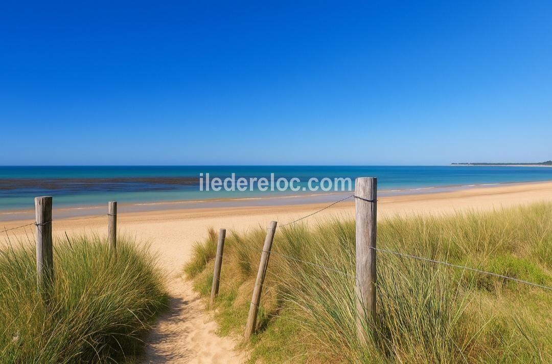 Photo 7 : NC d'une maison située à La Couarde-sur-mer, île de Ré.