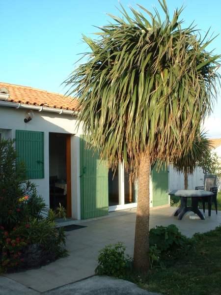 Photo 8 :  d'une maison située à La Couarde-sur-mer, île de Ré.