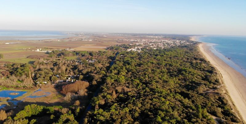 Photo 16 : AUTRE d'une maison située à Le Bois-Plage-en-Ré, île de Ré.