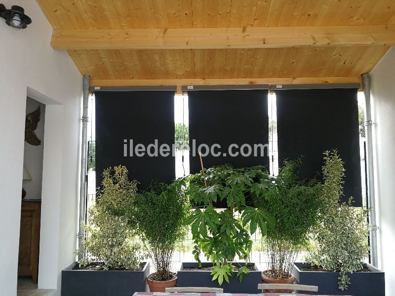 Photo 20 : PATIO d'une maison située à La Couarde-sur-mer, île de Ré.