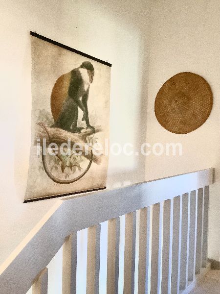 Photo 10 : NC d'une maison située à Saint-Martin, île de Ré.