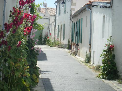 Photo 3 : EXTERIEUR d'une maison située à La Flotte-en-Ré, île de Ré.