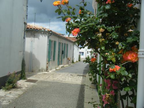 Photo 18 : EXTERIEUR d'une maison située à La Flotte-en-Ré, île de Ré.