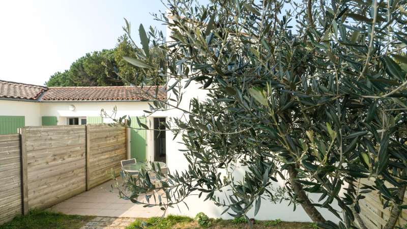 Photo 9 : TERRASSE d'une maison située à La Flotte-en-Ré, île de Ré.