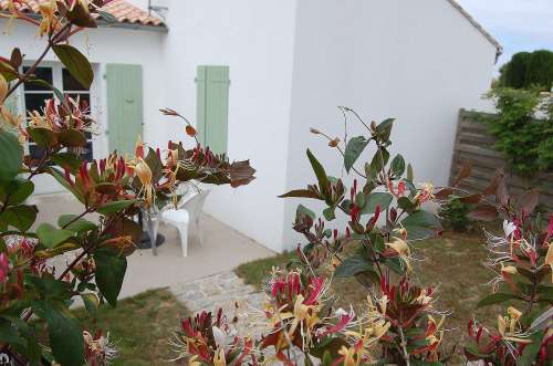 Photo 1 :  d'une maison située à La Flotte-en-Ré, île de Ré.