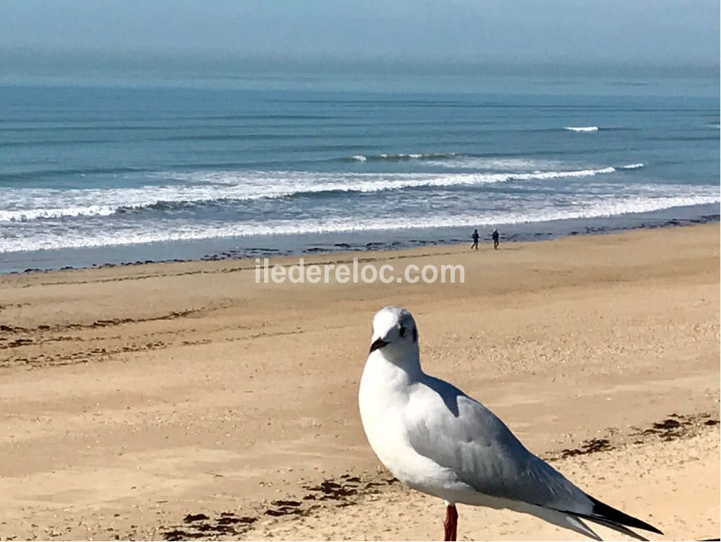 Photo 25 : AUTRE d'une maison située à Le Bois-Plage, île de Ré.