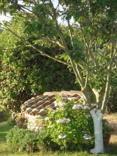 Photo 5 :  d'une maison située à Saint-Clément-des-Baleines, île de Ré.