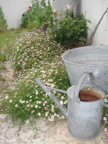 Photo 11 :  d'une maison située à Saint-Clément-des-Baleines, île de Ré.