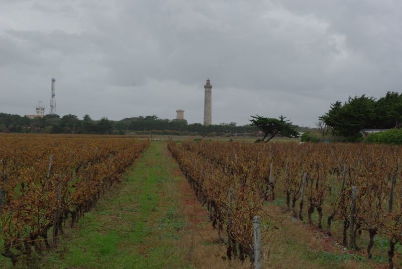 Photo 13 : AUTRE d'une maison située à Saint-Clement, île de Ré.