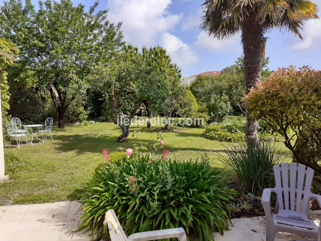 Photo 1 : TERRASSE d'une maison située à Saint-Martin, île de Ré.