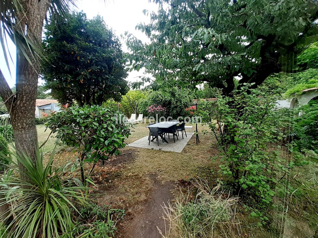 Photo 8 : JARDIN d'une maison située à Saint-Martin, île de Ré.