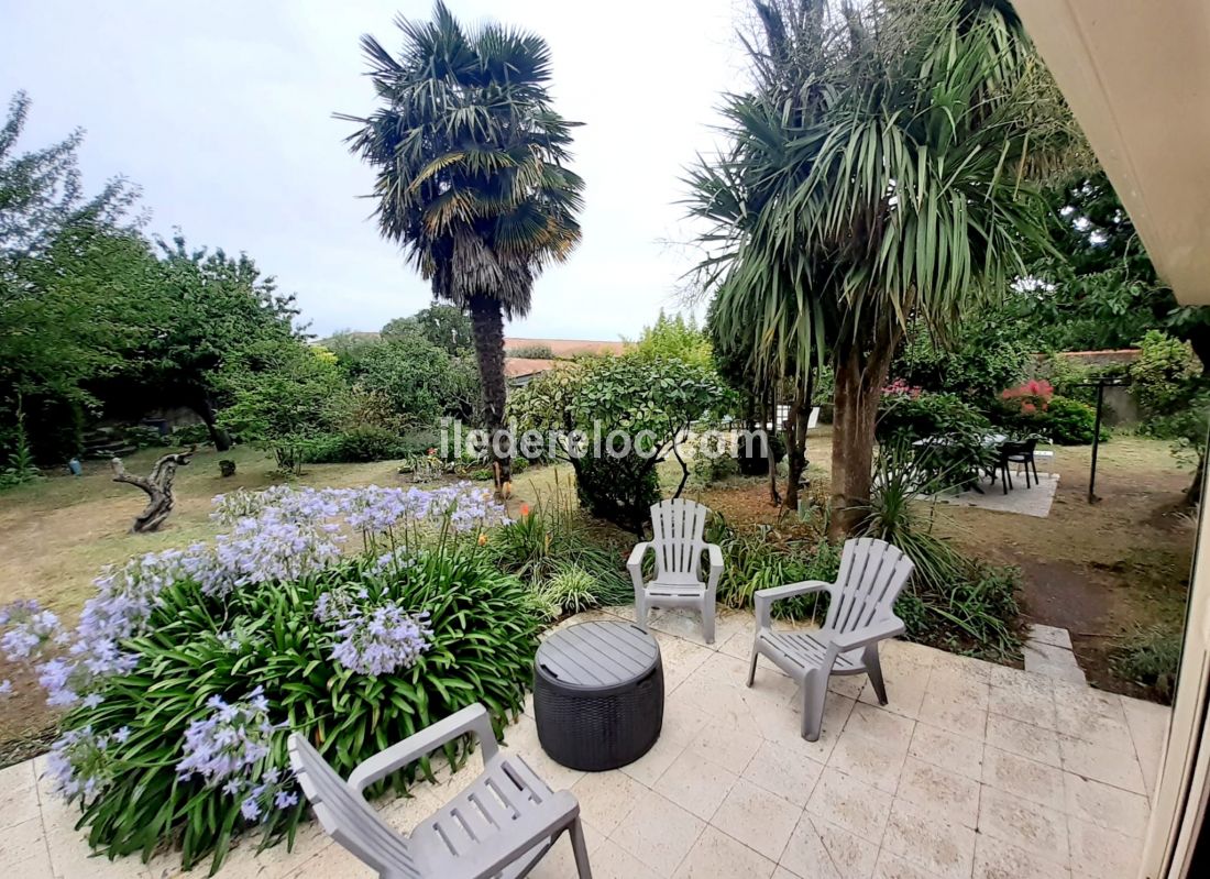 Photo 2 : TERRASSE d'une maison située à Saint-Martin, île de Ré.