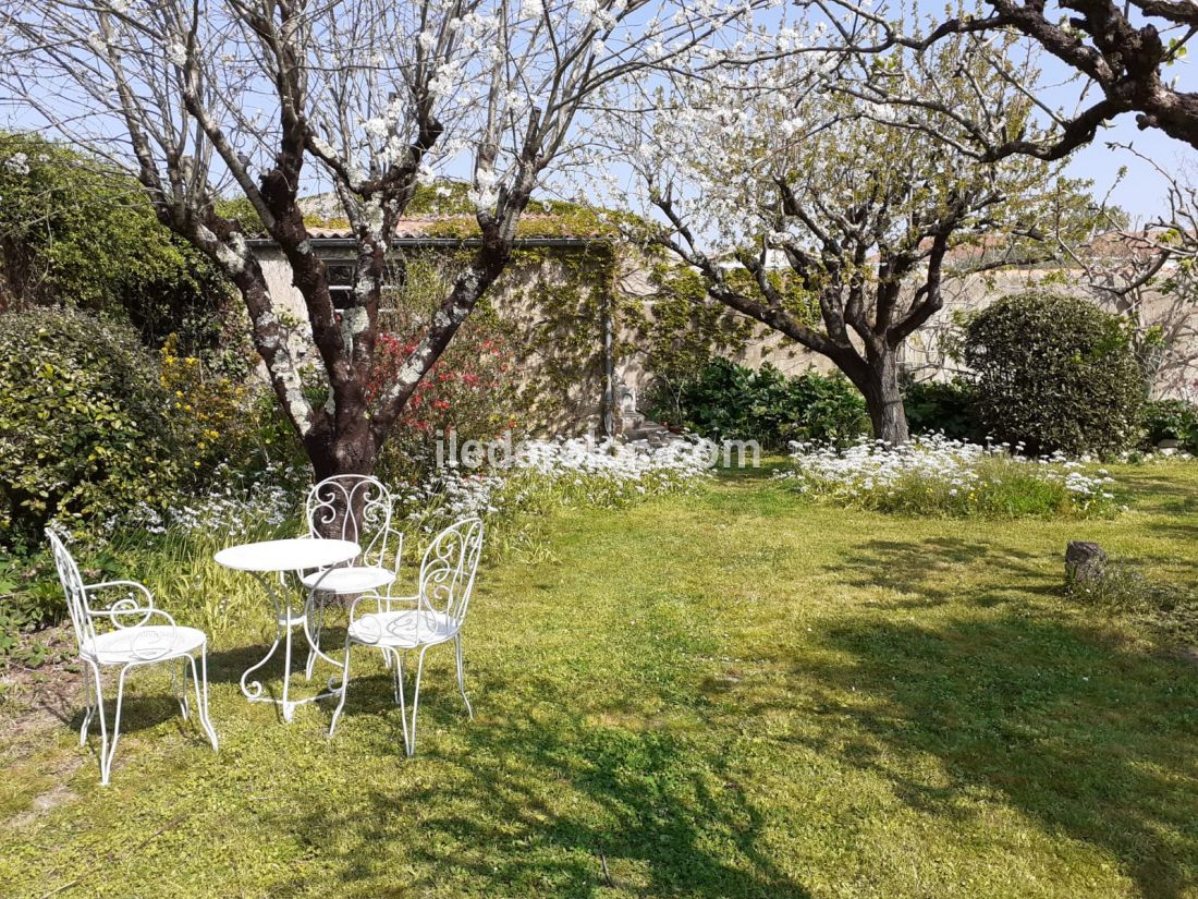 Photo 13 : EXTERIEUR d'une maison située à Saint-Martin, île de Ré.