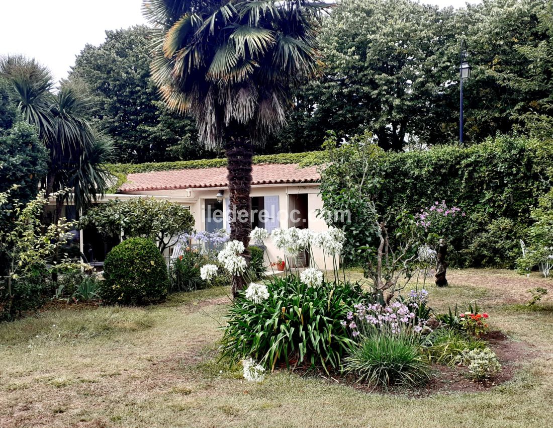 Photo 11 : EXTERIEUR d'une maison située à Saint-Martin, île de Ré.