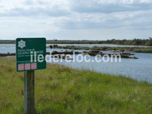 Photo 27 : AUTRE d'une maison située à Les Portes, île de Ré.