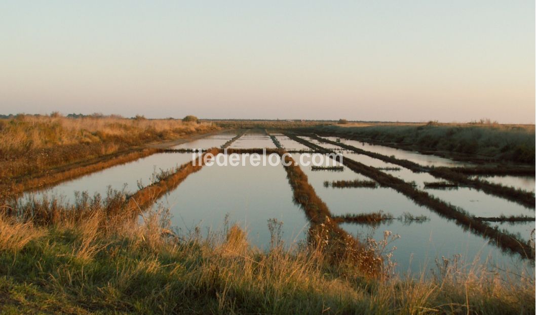 Photo 26 : AUTRE d'une maison située à Les Portes-en-Ré, île de Ré.