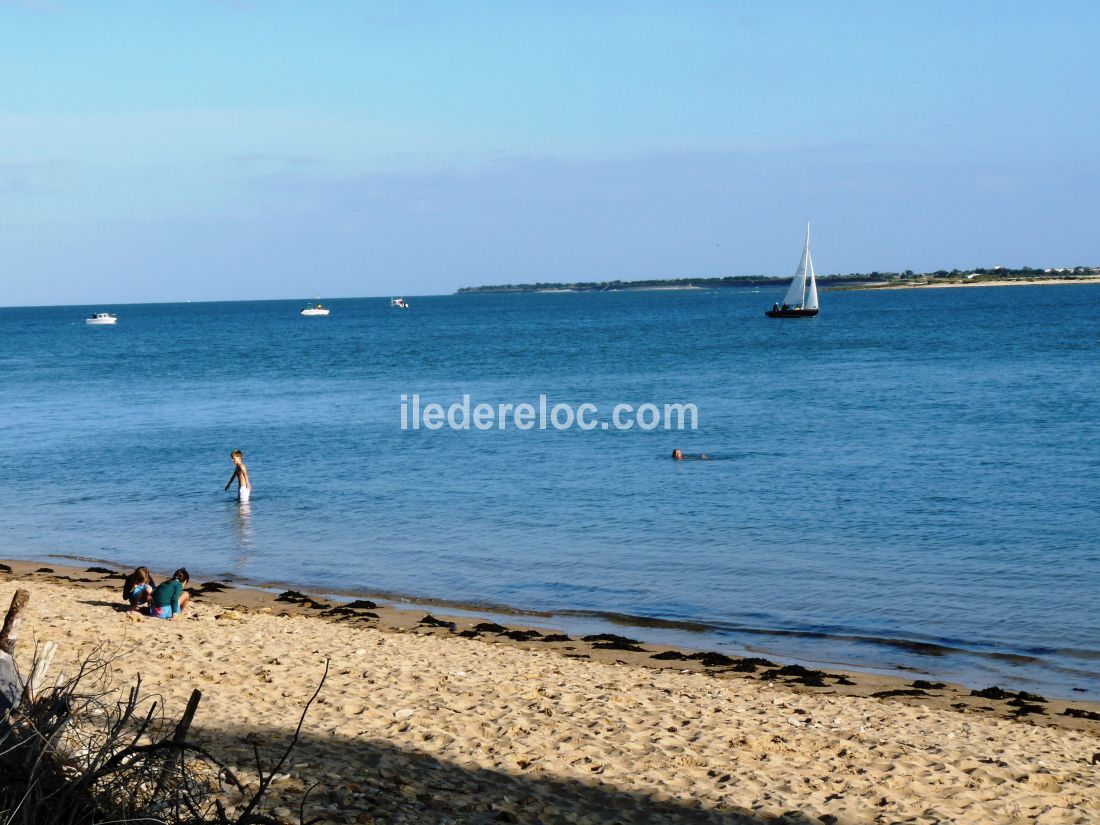 Photo 35 : AUTRE d'une maison située à Les Portes-en-Ré, île de Ré.