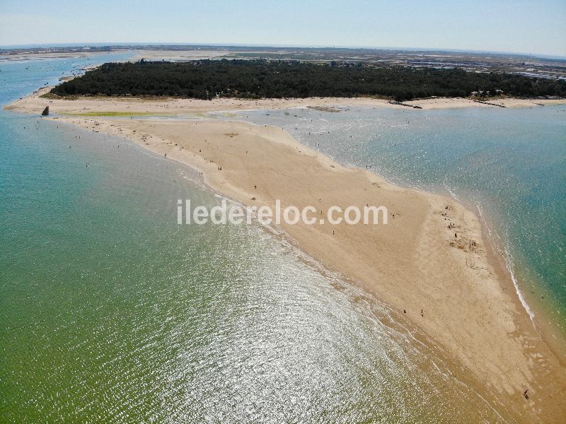 Photo 26 : NC d'une maison située à Saint-Clément-des-Baleines, île de Ré.