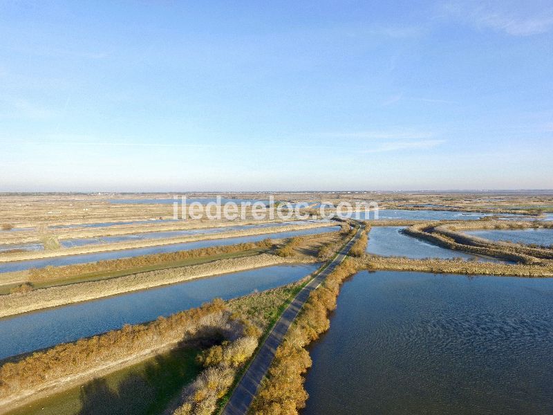 Photo 22 : NC d'une maison située à Saint-Clément-des-Baleines, île de Ré.