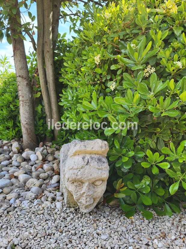 Photo 17 : JARDIN d'une maison situ&eacute;e &agrave; Saint-Cl&eacute;ment-des-Baleines, &icirc;le de R&eacute;.