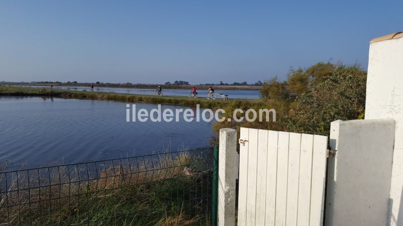 Photo 7 : NC d'une maison située à Ars en Ré, île de Ré.