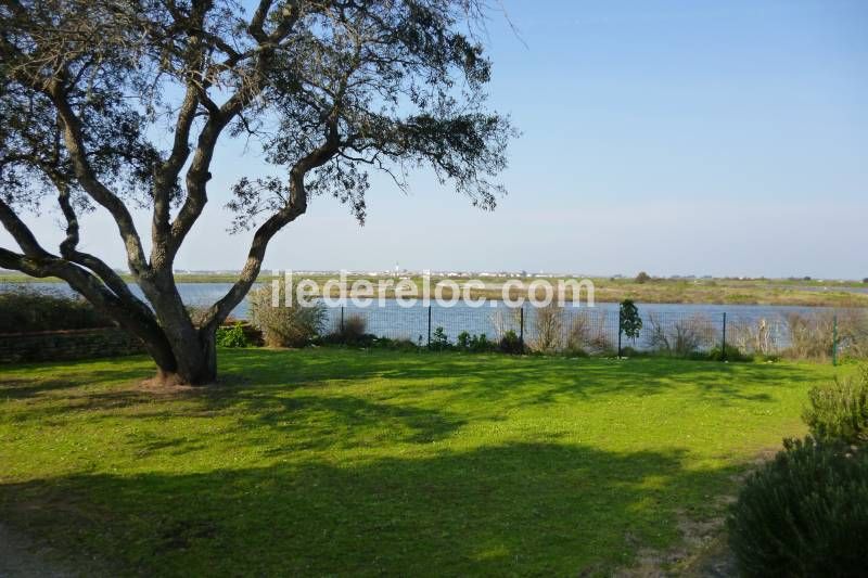 Photo 6 : AUTRE d'une maison située à Ars en Ré, île de Ré.