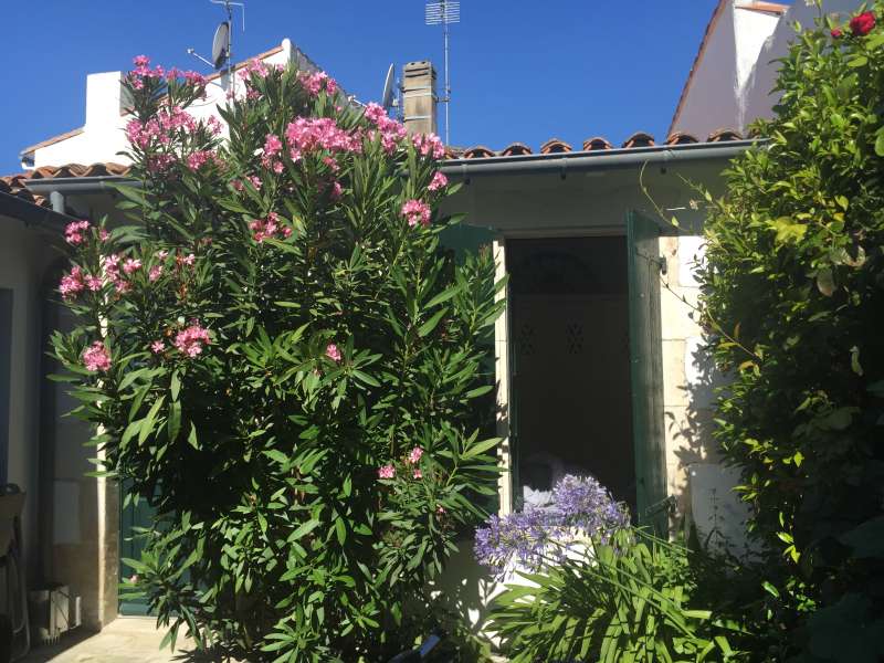 Photo 1 : EXTERIEUR d'une maison située à La Flotte-en-Ré, île de Ré.