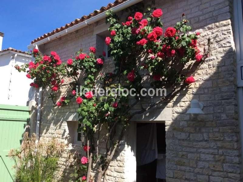 Photo 2 : JARDIN d'une maison située à Sainte-Marie, île de Ré.