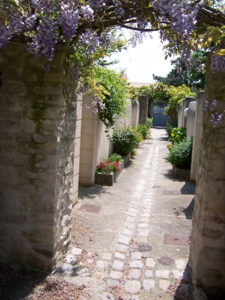 Photo 10 : AUTRE d'une maison située à Saint-Martin-de-Ré, île de Ré.