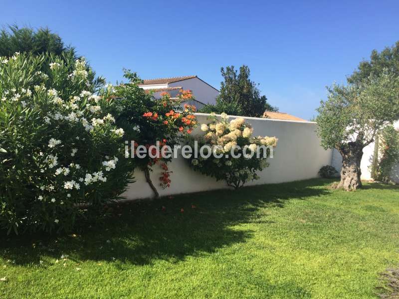 Photo 2 : JARDIN d'une maison située à Le Bois-Plage-en-Ré, île de Ré.