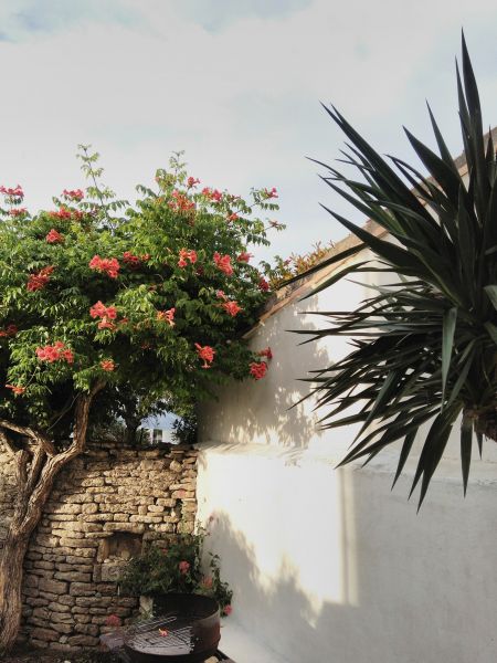 Photo 15 : JARDIN d'une maison située à Les Portes-en-Ré, île de Ré.