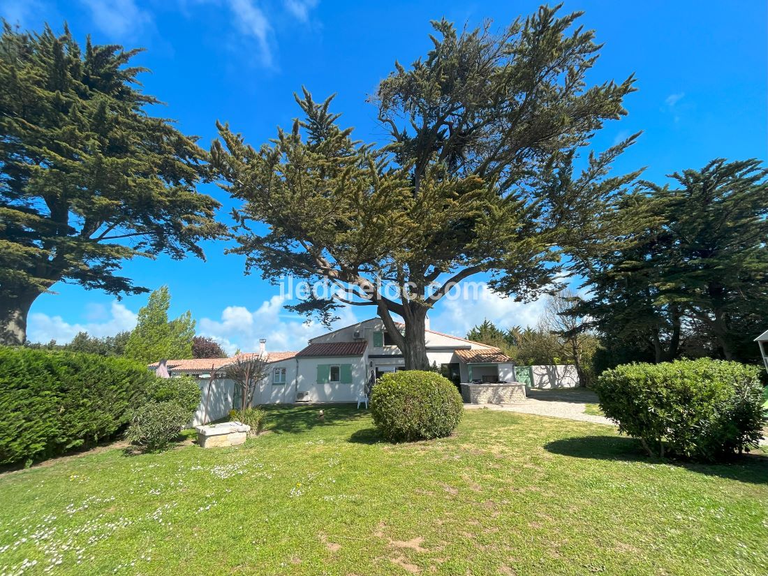 Photo 7 : JARDIN d'une maison située à Saint-Martin-de-Ré, île de Ré.