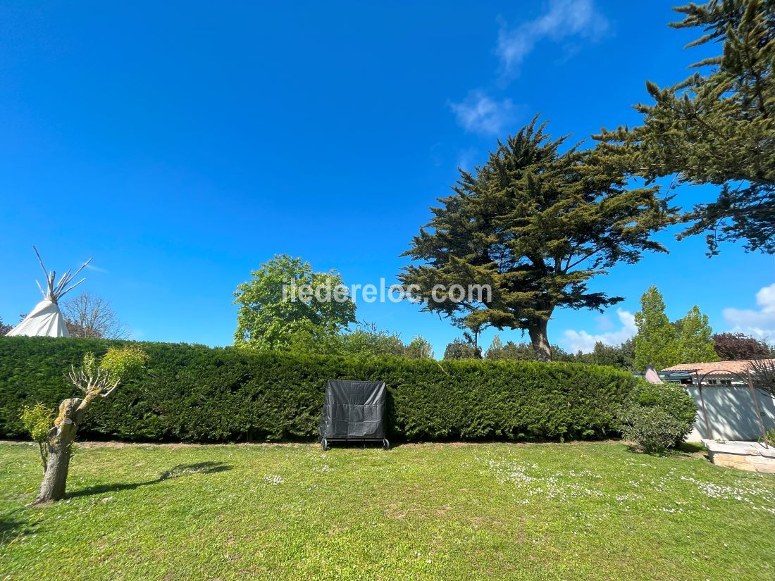 Photo 9 : JARDIN d'une maison située à Saint-Martin-de-Ré, île de Ré.