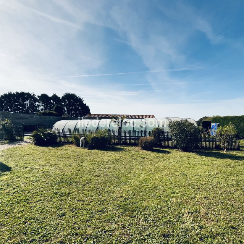 Photo 12 : JARDIN d'une maison située à Saint-Martin-de-Ré, île de Ré.