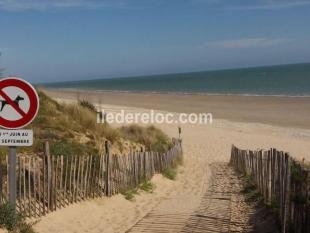 Ile de Ré:T1 à 150 m de la plage