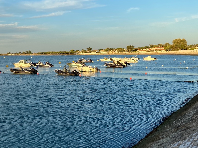 Photo 25 : NC d'une maison située à La Flotte-en-Ré, île de Ré.