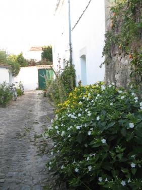 Photo 26 : NC d'une maison située à La Flotte-en-Ré, île de Ré.