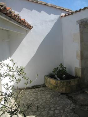 Photo 16 : NC d'une maison située à La Flotte-en-Ré, île de Ré.