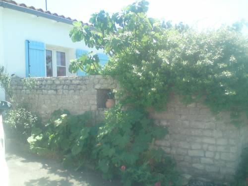 Photo 15 :  d'une maison située à La Flotte-en-Ré, île de Ré.