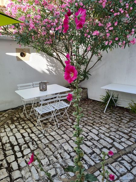 Photo 26 : PATIO d'une maison située à La Flotte-en-Ré, île de Ré.