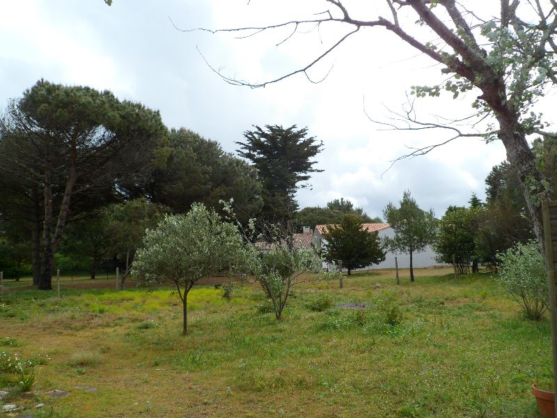 Photo 21 : JARDIN d'une maison située à Les Portes-en-Ré, île de Ré.