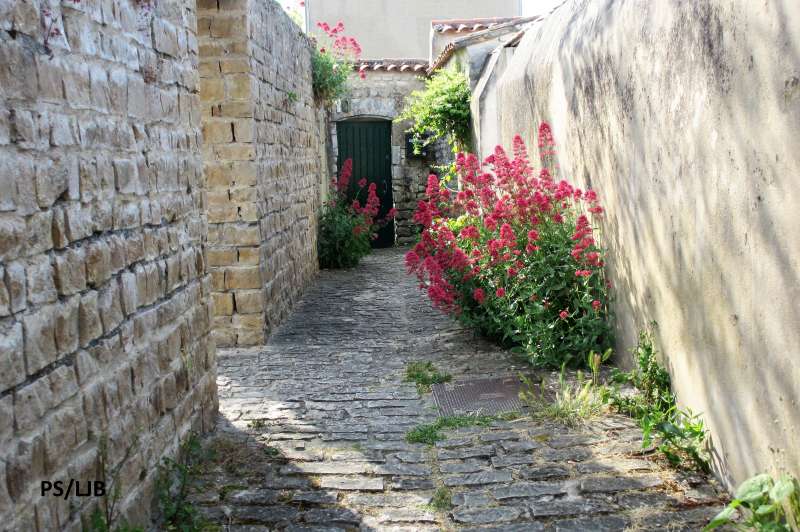 Photo 25 : NC d'une maison située à La Flotte-en-Ré, île de Ré.