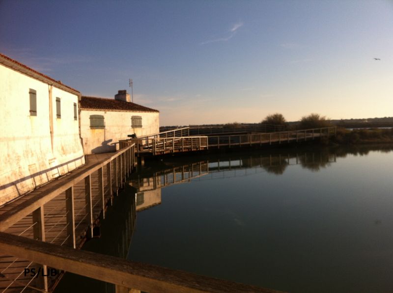 Photo 28 : NC d'une maison située à La Flotte-en-Ré, île de Ré.