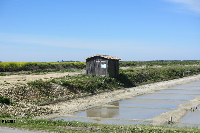 Photo 31 : NC d'une maison située à La Flotte-en-Ré, île de Ré.